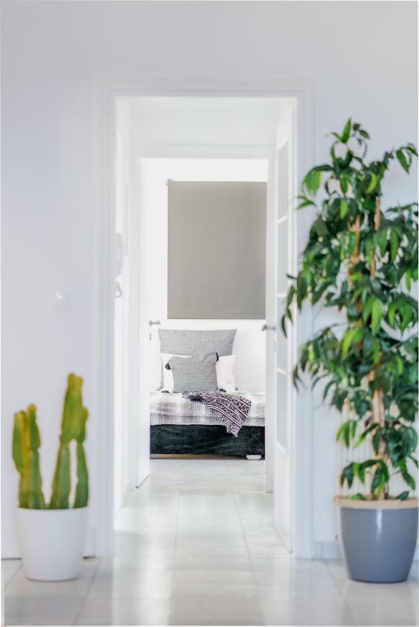 Bedspot Apartment كاندية المظهر الخارجي الصورة